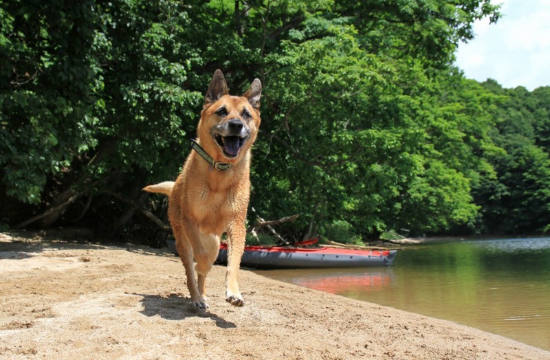 f:id:mamimami_LA:20170804104029j:plain f:id:mamimami_LA:20170804104029j:plain