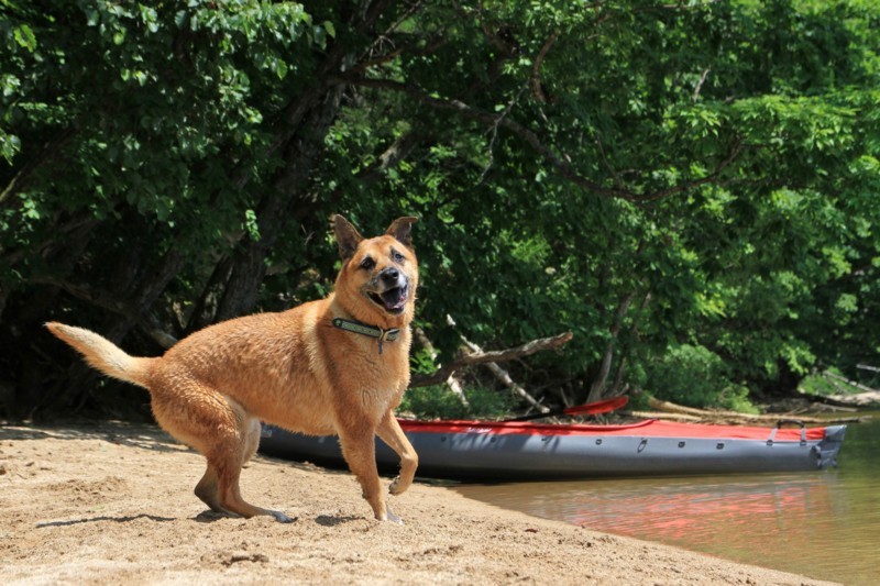 f:id:mamimami_LA:20170804104106j:plain f:id:mamimami_LA:20170804104106j:plain