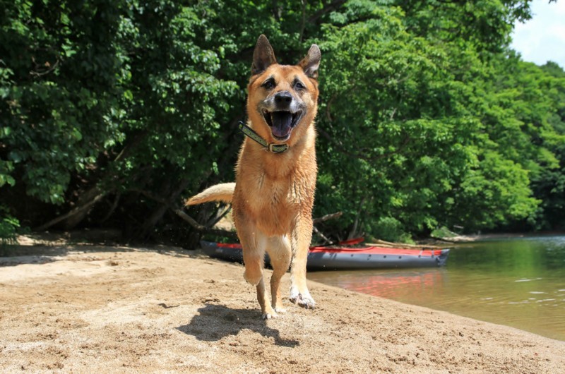 f:id:mamimami_LA:20170804104107j:plain f:id:mamimami_LA:20170804104107j:plain