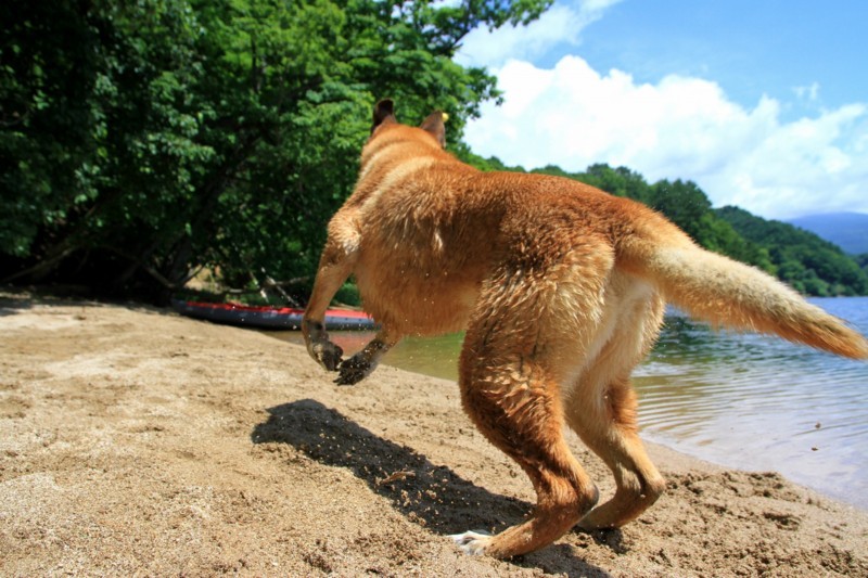 f:id:mamimami_LA:20170804104118j:plain f:id:mamimami_LA:20170804104118j:plain