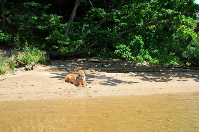 f:id:mamimami_LA:20170804105042j:plain f:id:mamimami_LA:20170804105042j:plain