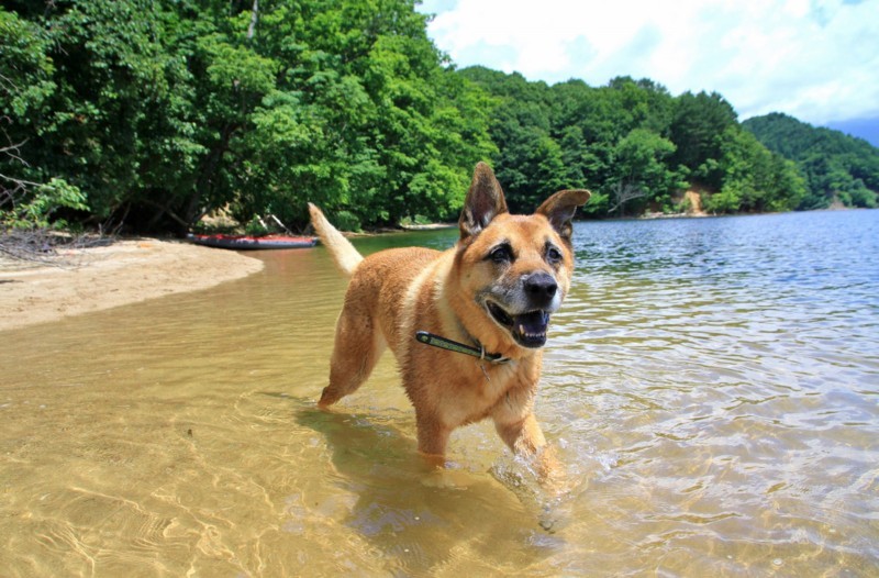 f:id:mamimami_LA:20170804105351j:plain f:id:mamimami_LA:20170804105351j:plain