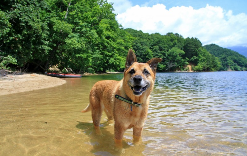 f:id:mamimami_LA:20170804105400j:plain f:id:mamimami_LA:20170804105400j:plain