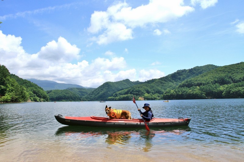 f:id:mamimami_LA:20170804110040j:plain f:id:mamimami_LA:20170804110040j:plain