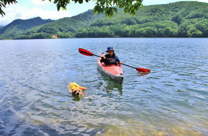 f:id:mamimami_LA:20170804111818j:plain f:id:mamimami_LA:20170804111818j:plain