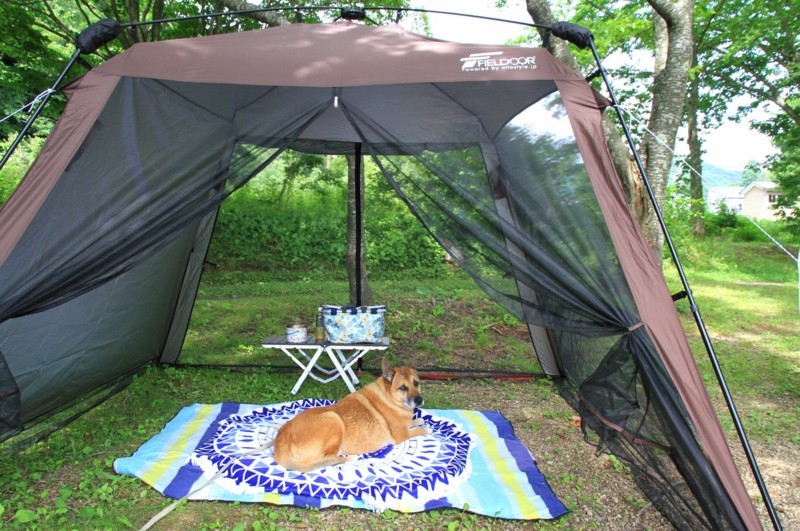 f:id:mamimami_LA:20170804134712j:plain f:id:mamimami_LA:20170804134712j:plain