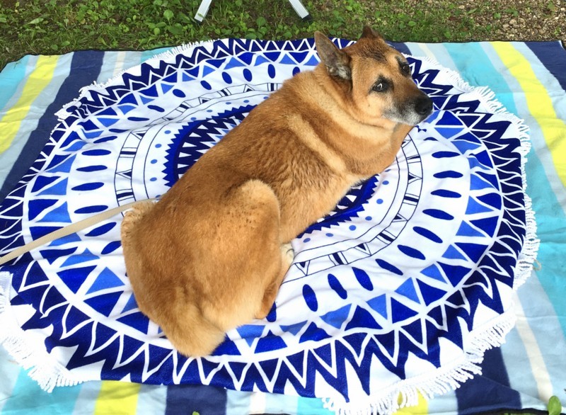 f:id:mamimami_LA:20170804134931j:plain