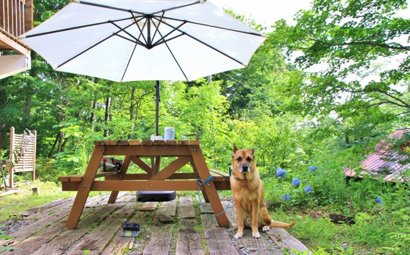 f:id:mamimami_LA:20170804151007j:plain f:id:mamimami_LA:20170804151007j:plain