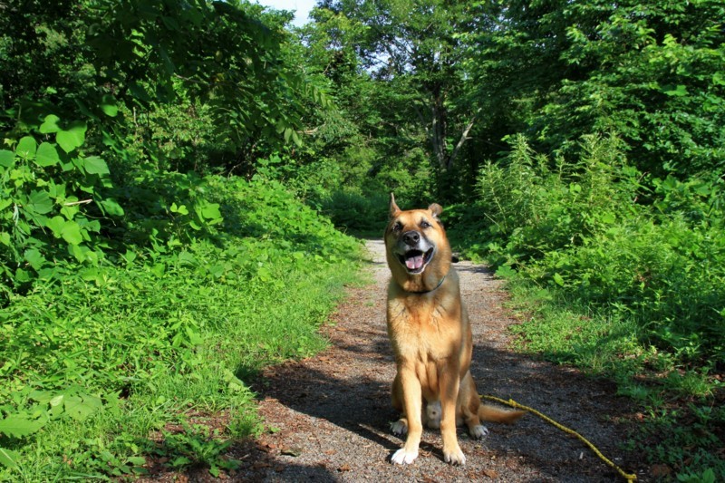 f:id:mamimami_LA:20170804160507j:plain f:id:mamimami_LA:20170804160507j:plain