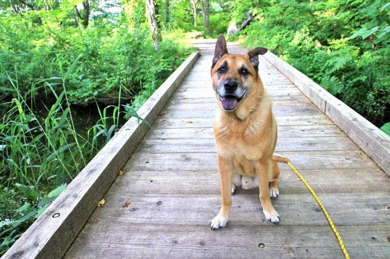 f:id:mamimami_LA:20170804160803j:plain f:id:mamimami_LA:20170804160803j:plain