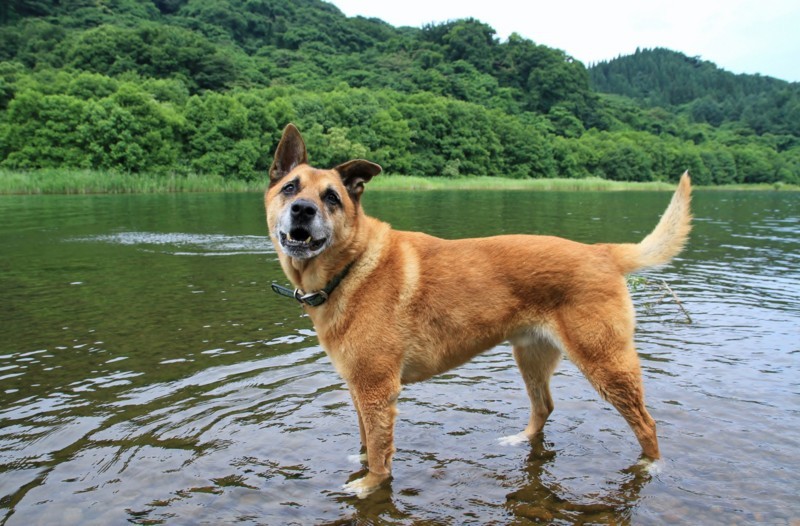 f:id:mamimami_LA:20170805102834j:plain