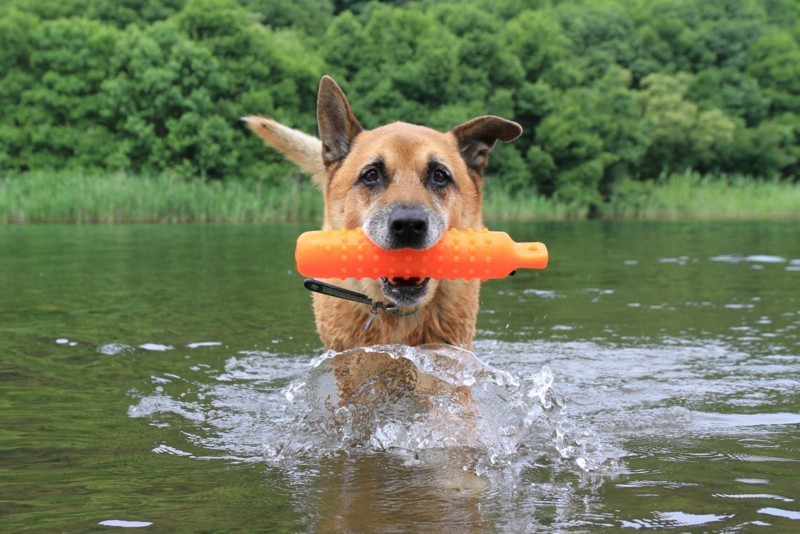 f:id:mamimami_LA:20170805103001j:plain