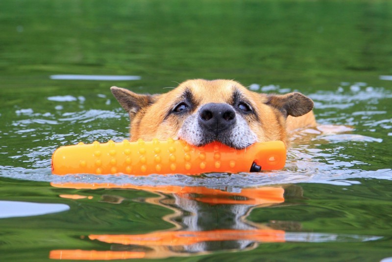 f:id:mamimami_LA:20170805103732j:plain