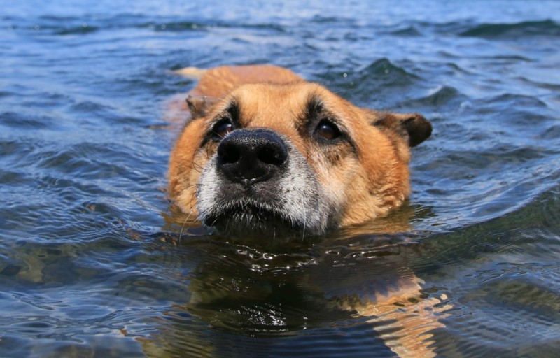 f:id:mamimami_LA:20170805122236j:plain