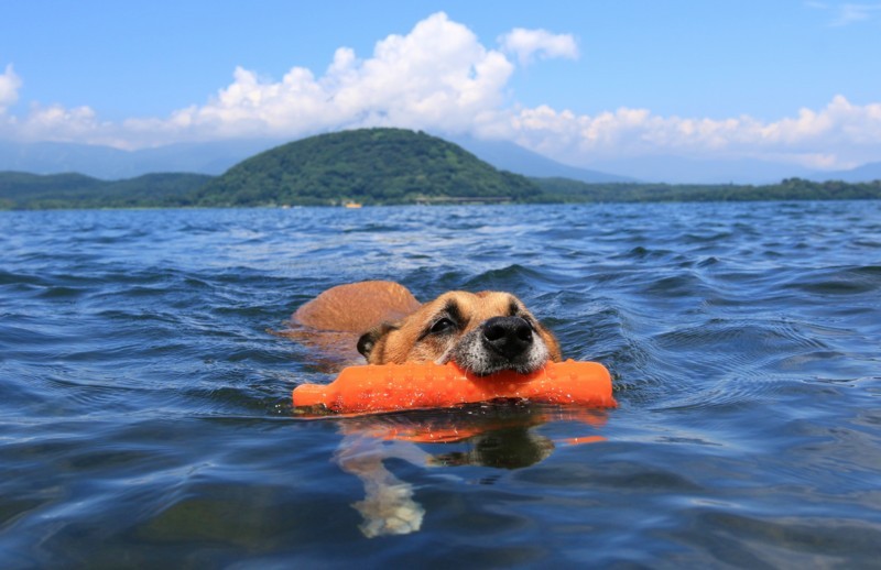 f:id:mamimami_LA:20170805122434j:plain