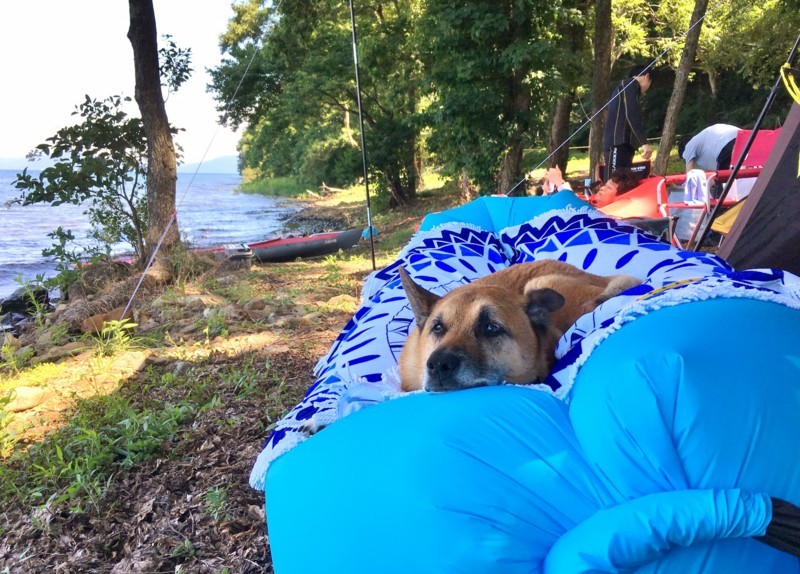 f:id:mamimami_LA:20170805131658j:plain