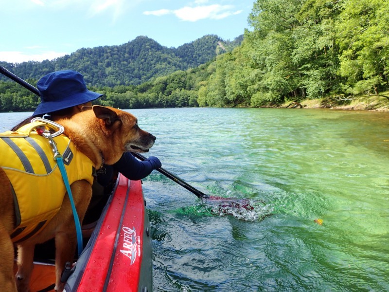 f:id:mamimami_LA:20170826133145j:plain