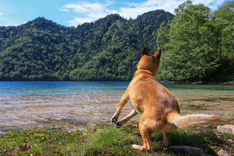 f:id:mamimami_LA:20170826134625j:plain