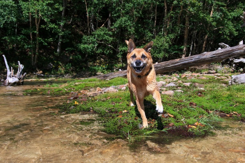 f:id:mamimami_LA:20170826140541j:plain