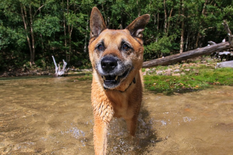 f:id:mamimami_LA:20170826140734j:plain