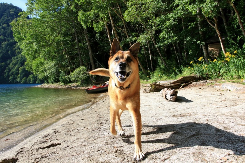 f:id:mamimami_LA:20170826152237j:plain