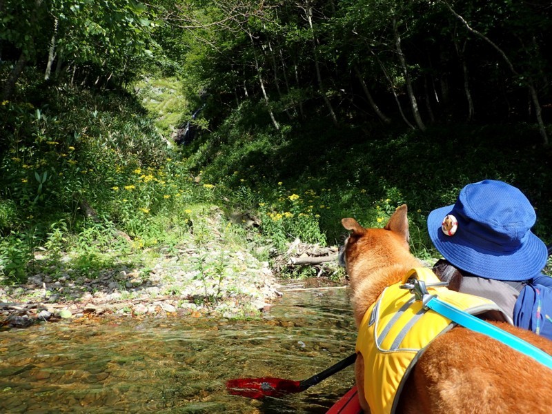 f:id:mamimami_LA:20170827092427j:plain