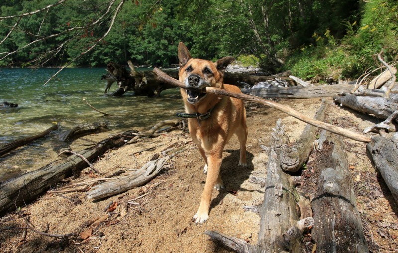 f:id:mamimami_LA:20170827092801j:plain