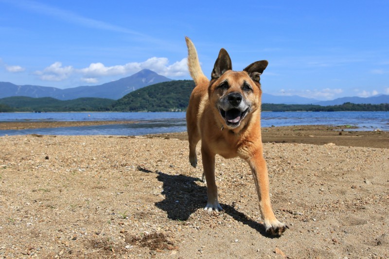 f:id:mamimami_LA:20171001111610j:plain