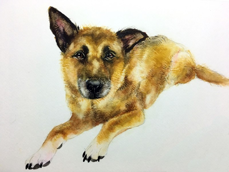 f:id:mamimami_LA:20180116175624j:plain