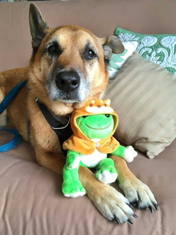 f:id:mamimami_LA:20180119084529j:plain