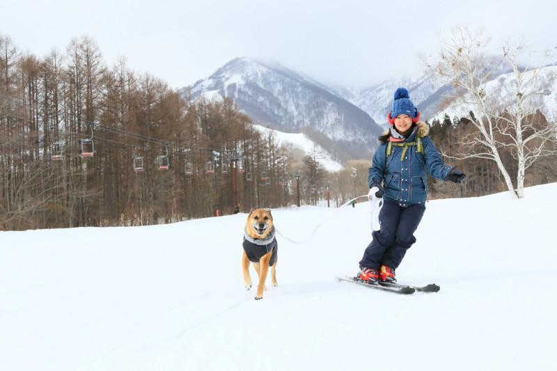 f:id:mamimami_LA:20180119123138j:plain