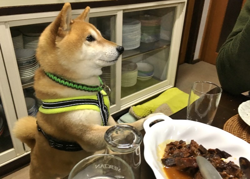 f:id:mamimami_LA:20180120182439j:plain