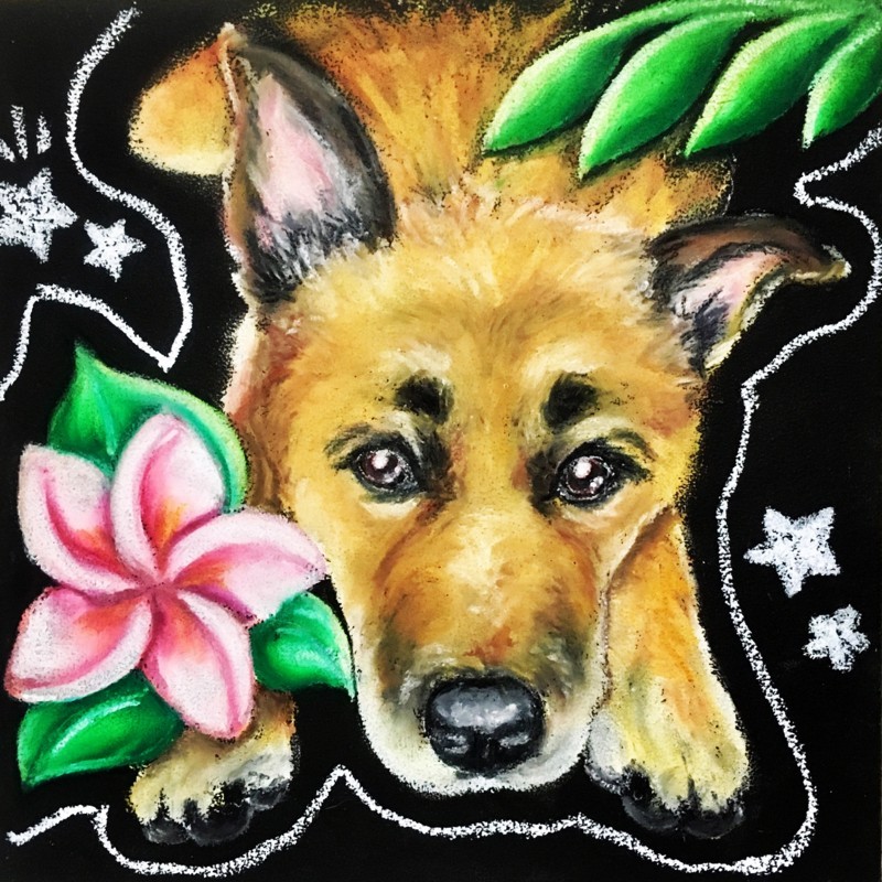 f:id:mamimami_LA:20180209103457j:plain