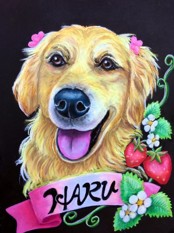 f:id:mamimami_LA:20180215155653j:plain