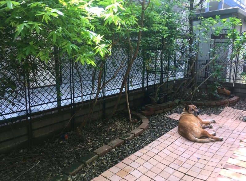 f:id:mamimami_LA:20180403122928j:plain f:id:mamimami_LA:20180403122928j:plain