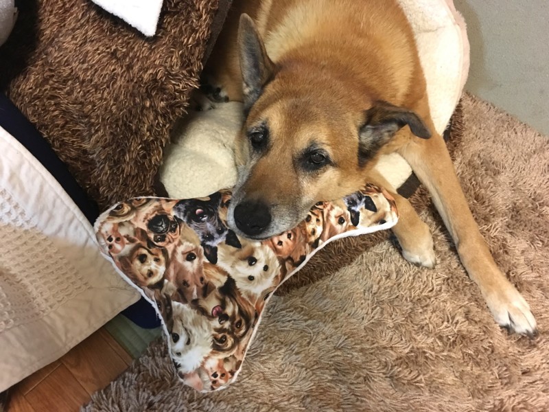 f:id:mamimami_LA:20180403200226j:plain f:id:mamimami_LA:20180403200226j:plain