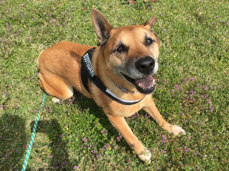 f:id:mamimami_LA:20180405102034j:plain f:id:mamimami_LA:20180405102034j:plain