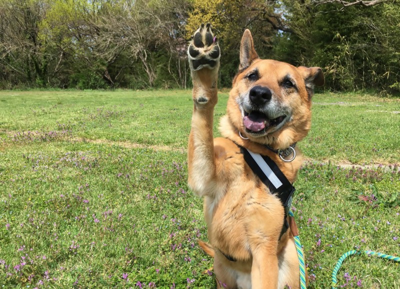 f:id:mamimami_LA:20180405102141j:plain f:id:mamimami_LA:20180405102141j:plain