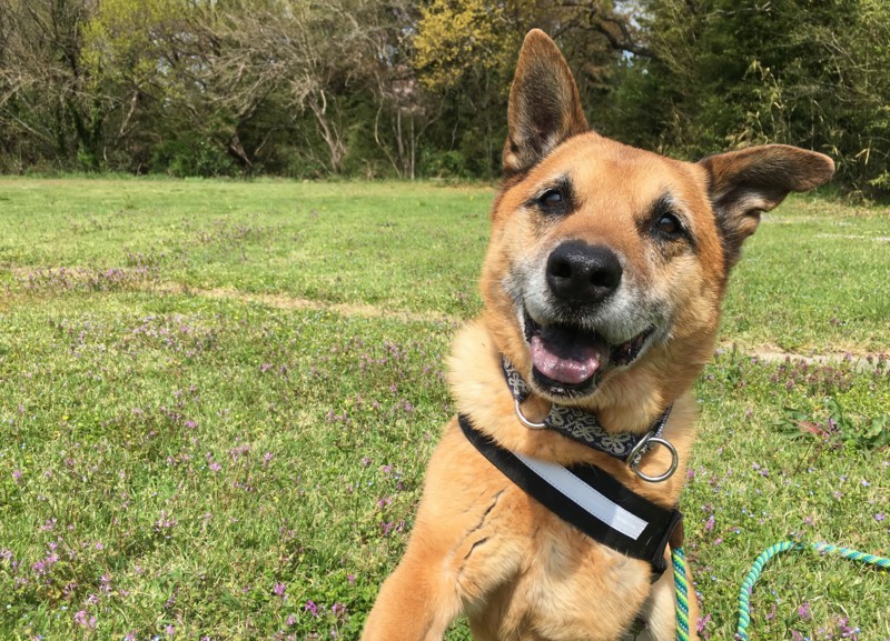 f:id:mamimami_LA:20180405102142j:plain f:id:mamimami_LA:20180405102142j:plain