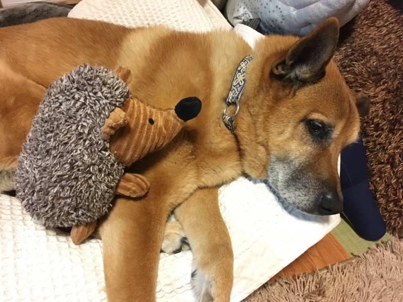 f:id:mamimami_LA:20180406205223j:plain f:id:mamimami_LA:20180406205223j:plain