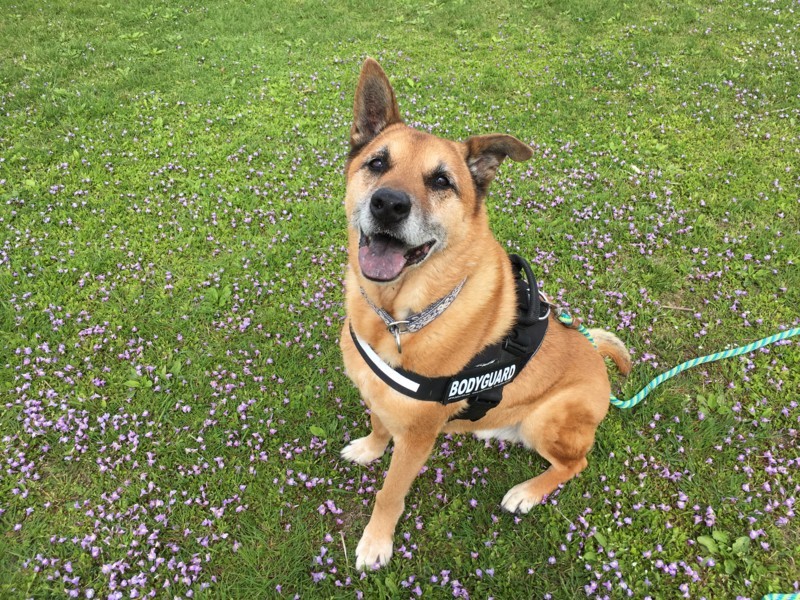 f:id:mamimami_LA:20180407094908j:plain f:id:mamimami_LA:20180407094908j:plain