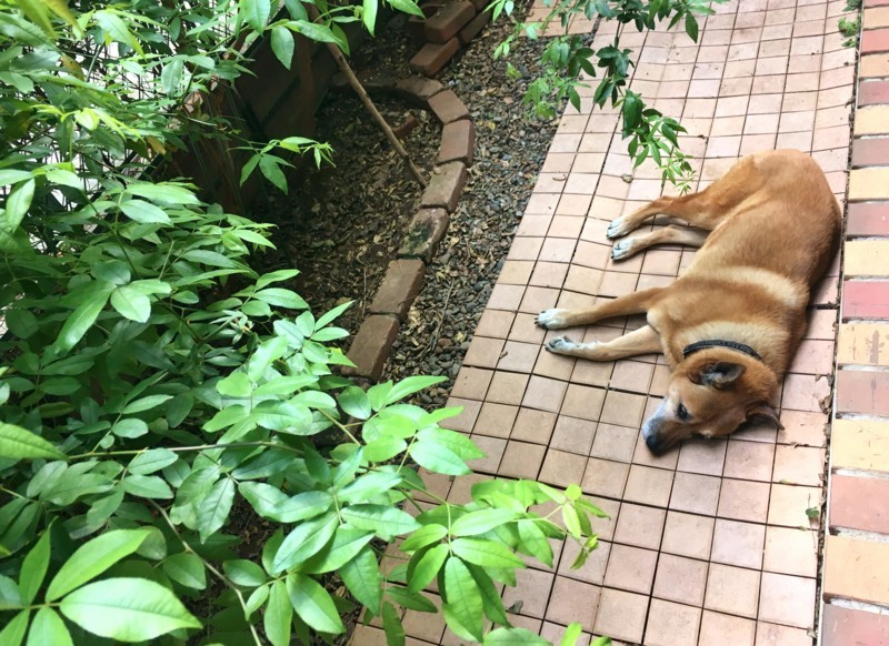 f:id:mamimami_LA:20180408130835j:plain f:id:mamimami_LA:20180408130835j:plain