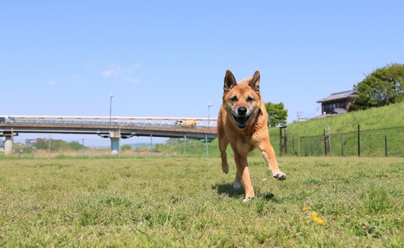 f:id:mamimami_LA:20180409093207j:plain f:id:mamimami_LA:20180409093207j:plain