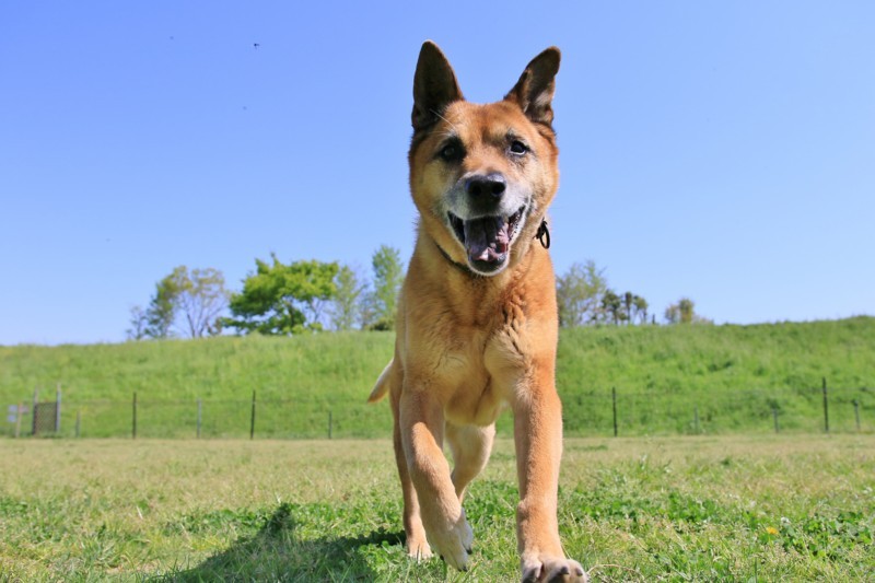 f:id:mamimami_LA:20180409093245j:plain f:id:mamimami_LA:20180409093245j:plain