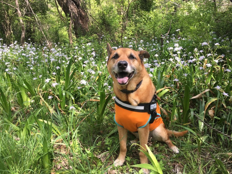 f:id:mamimami_LA:20180411132129j:plain f:id:mamimami_LA:20180411132129j:plain