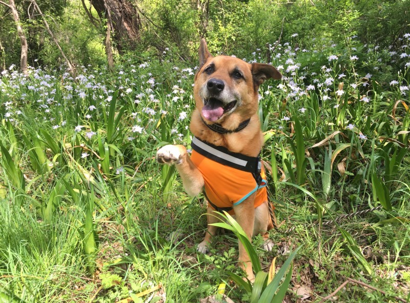 f:id:mamimami_LA:20180411132145j:plain f:id:mamimami_LA:20180411132145j:plain