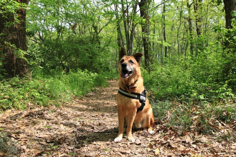 f:id:mamimami_LA:20180412105101j:plain f:id:mamimami_LA:20180412105101j:plain