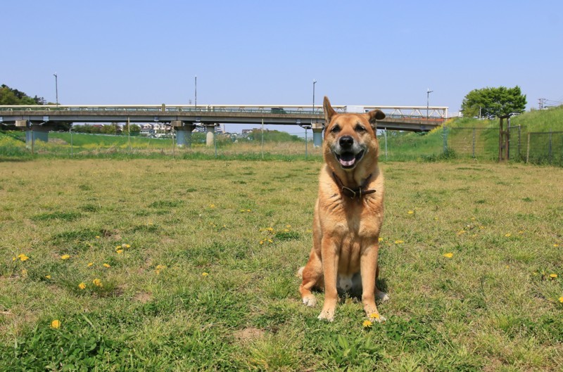 f:id:mamimami_LA:20180413095130j:plain f:id:mamimami_LA:20180413095130j:plain