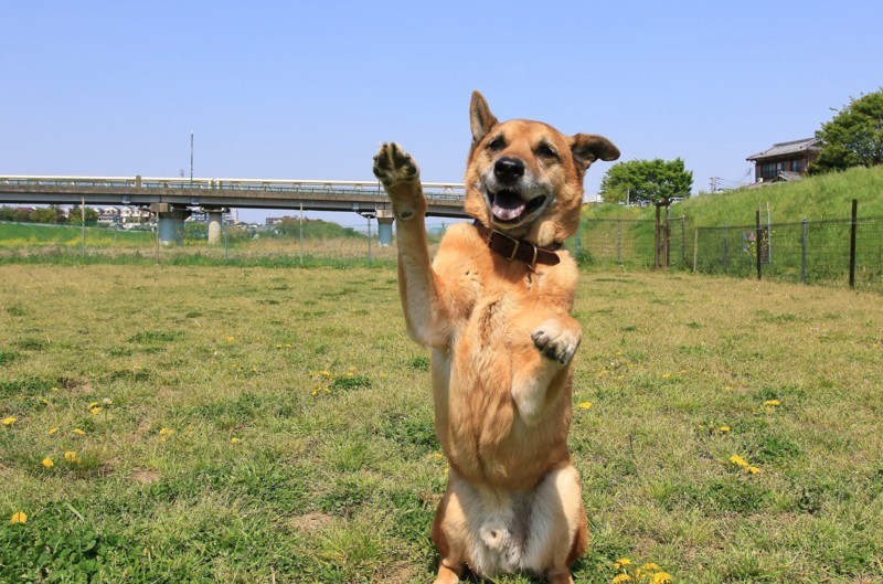 f:id:mamimami_LA:20180413095136j:plain f:id:mamimami_LA:20180413095136j:plain