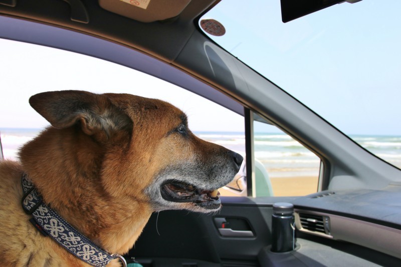 f:id:mamimami_LA:20180416102945j:plain f:id:mamimami_LA:20180416102945j:plain